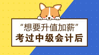 考過(guò)中級(jí)會(huì)計(jì)后職業(yè)發(fā)展 從事拍賣業(yè)務(wù)的機(jī)遇與工資前景